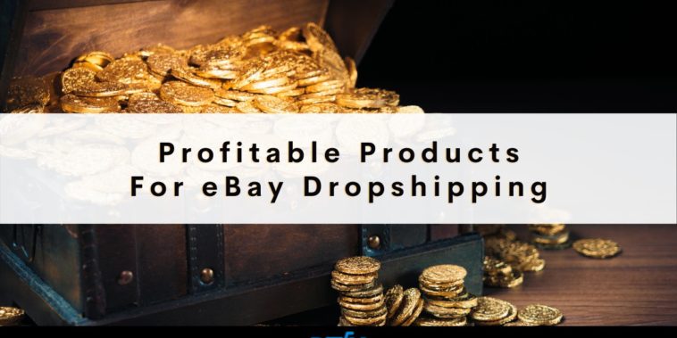 profitable products for dropshipping to sell online