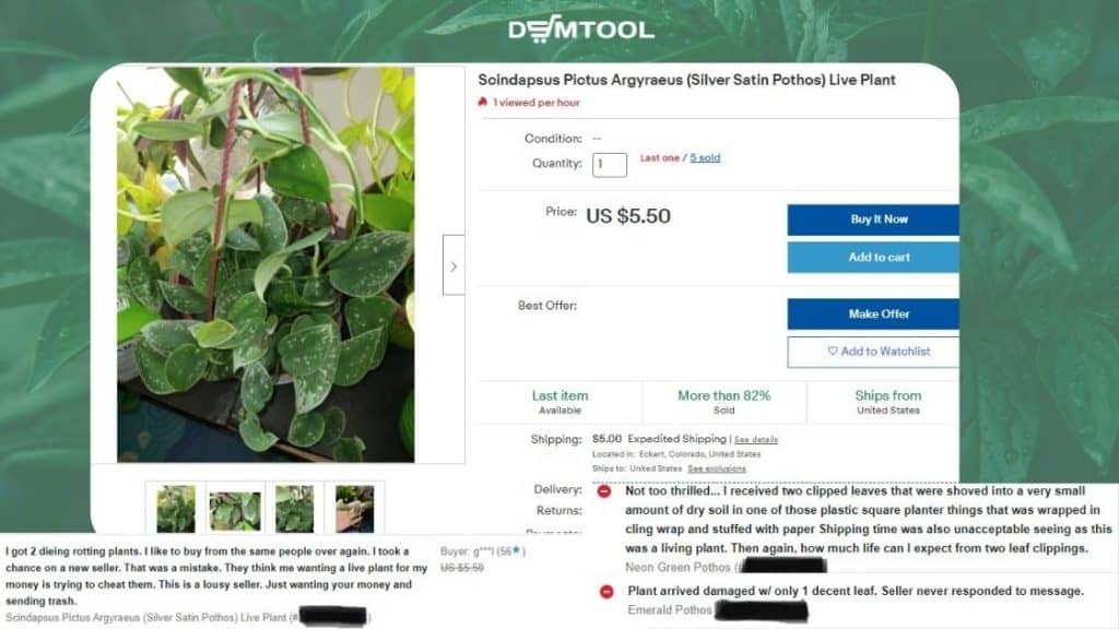 plants as worst products for dropshipping 