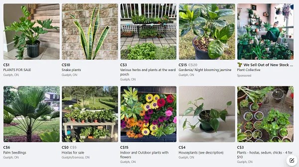 Garden Tools & Plants for selling on fb market