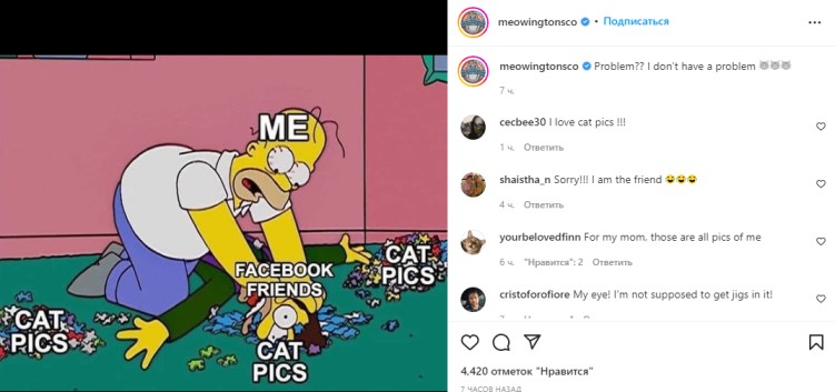 Instagram Memes: The DOs and DON'Ts for Posting Memes on Instagram -  SocialBee