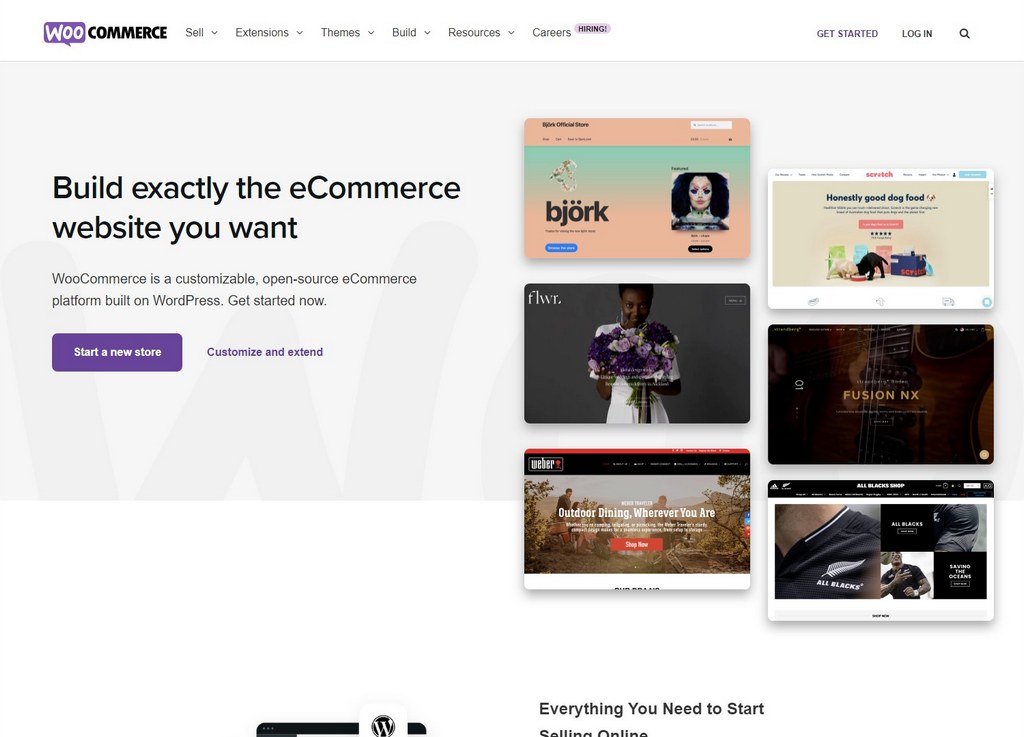 email marketing tool WooCommerce 