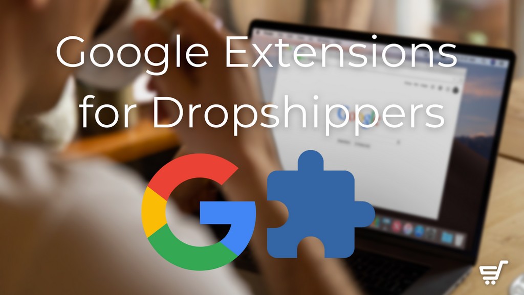 google dropshipping plugins