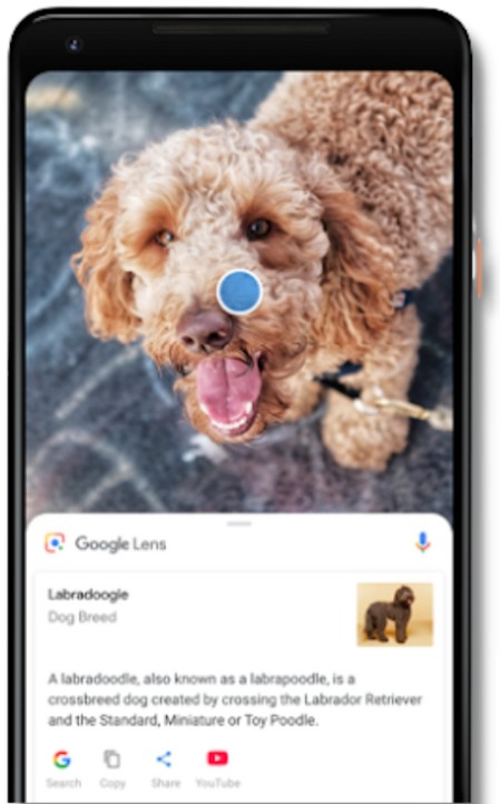 google lens dropshipping extension