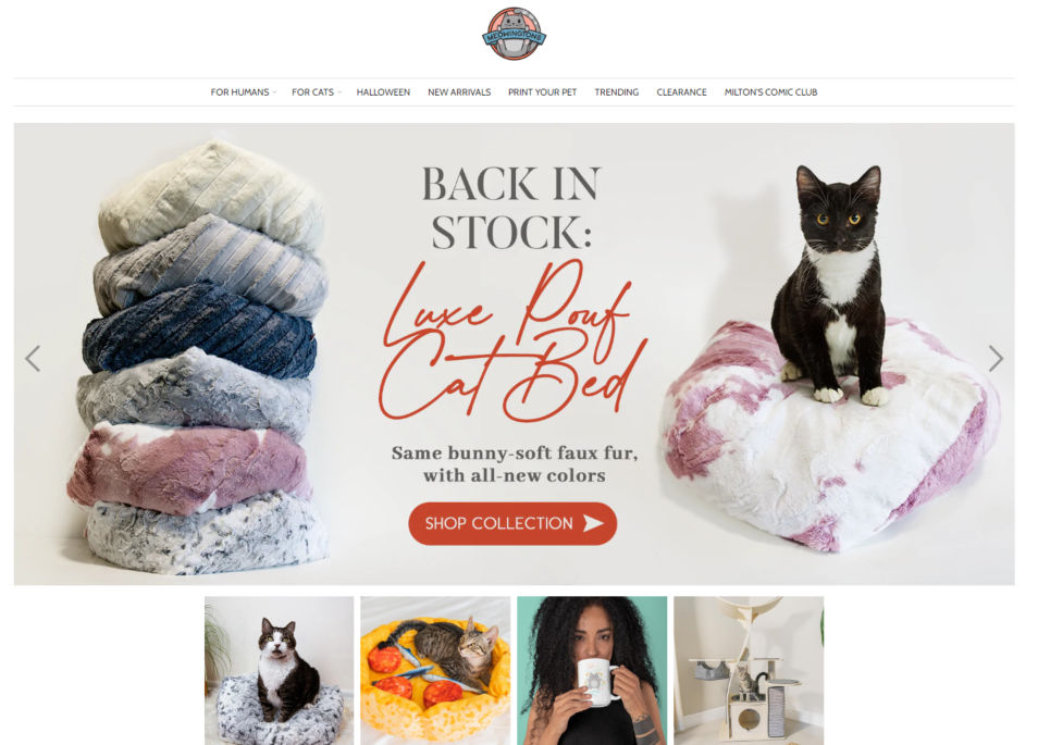 Dropshipping Pet Stores USA Examples Dropship Academy