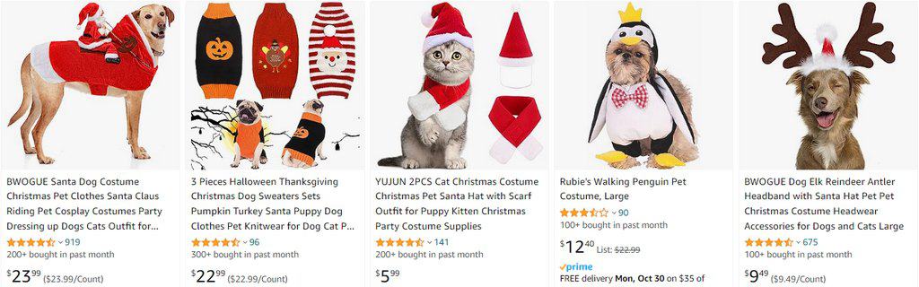 pet costumes winter products